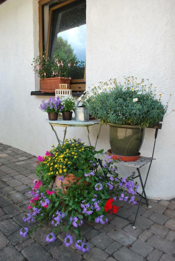 Homestay Cozy Room Markdorf Kültér fotó